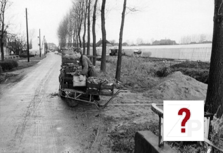 Jacob Ekelmansstraat 013